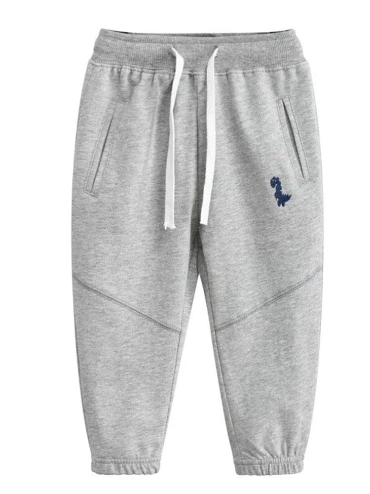 Dinosaur jogging online bottoms