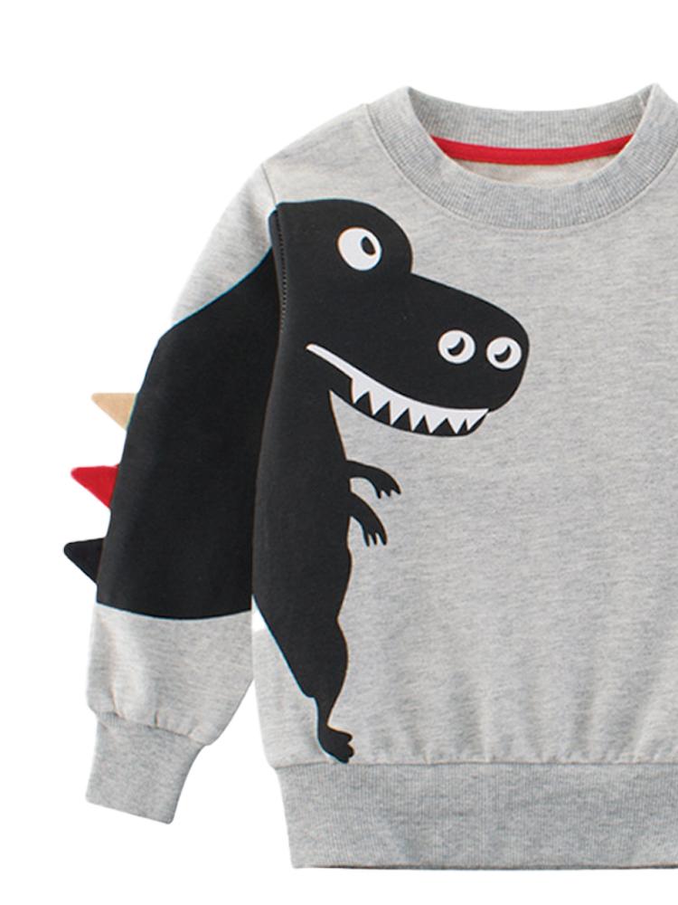 Boys dinosaur store sweatshirt