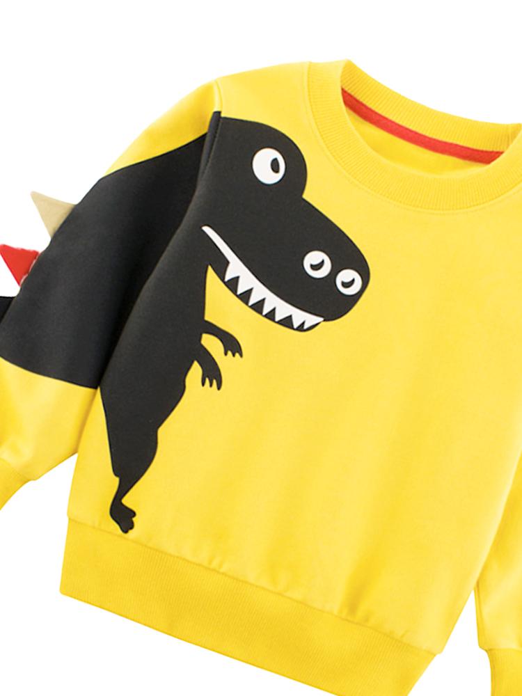 Boys dinosaur sweatshirt hot sale