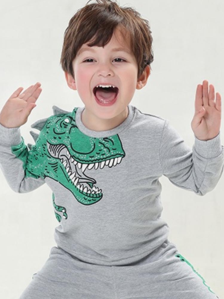 Spikes Out Boys Roaring Grey and Green T Rex Dinosaur Sweatshirt